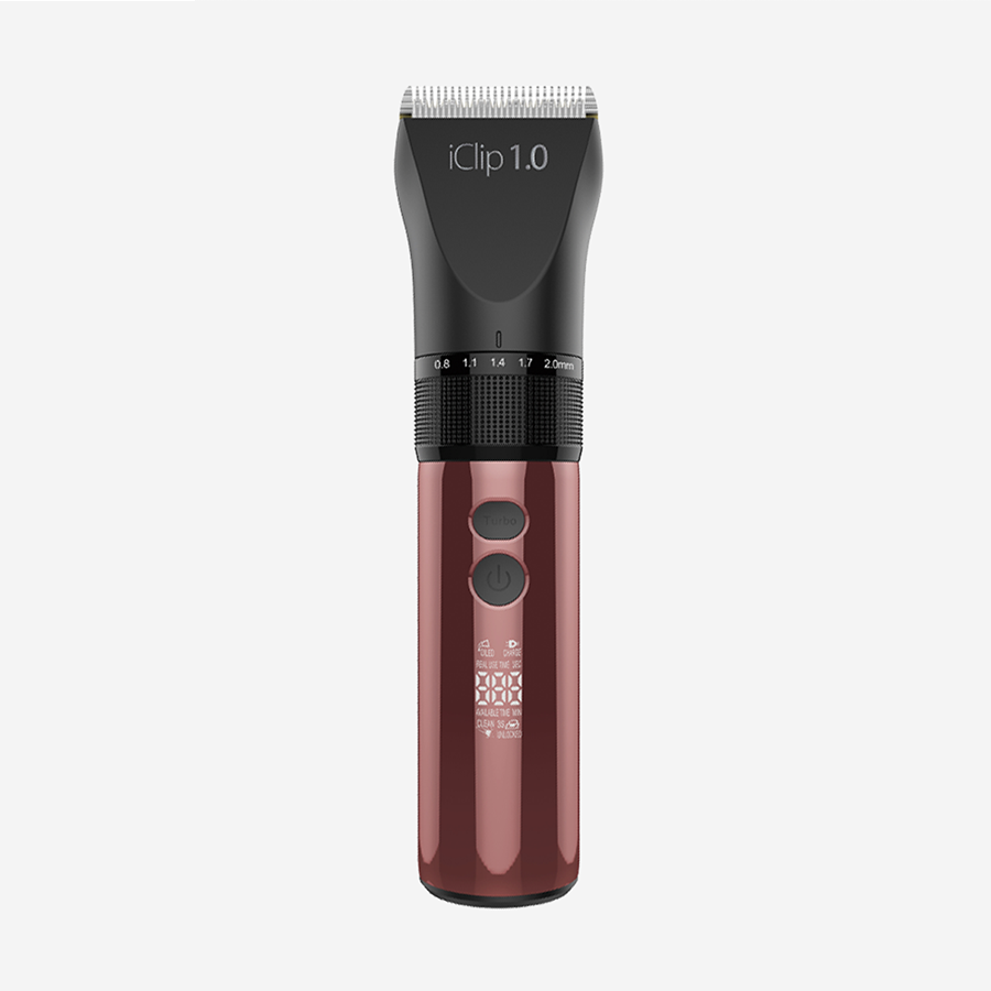 iClip 1.0 GIUBRA Accessori parrucchieri